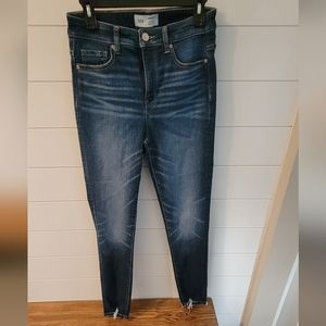 BKE Parker Skinny Jeans